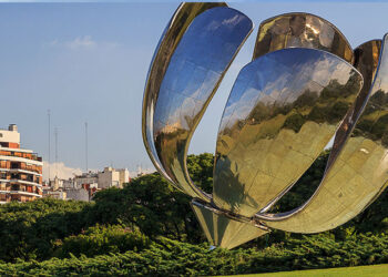 floralis generica ok internacional passeio buenos aires